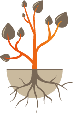 logo-roots-financiels